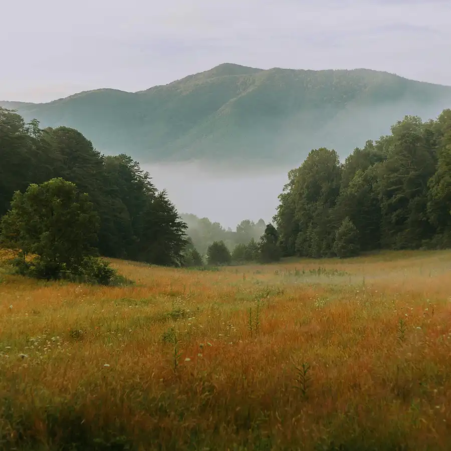 smoky-mountains